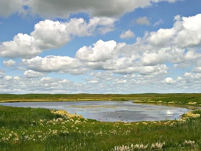 Missouri wetland