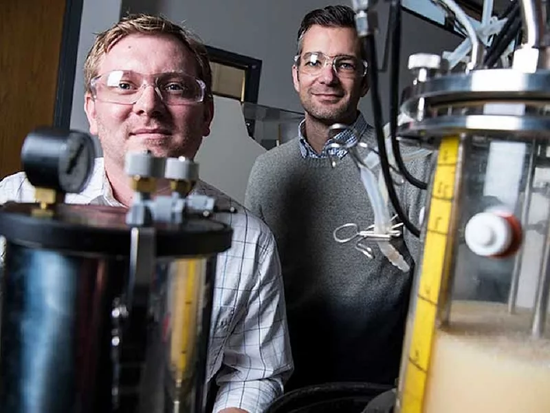 nrel methane eating