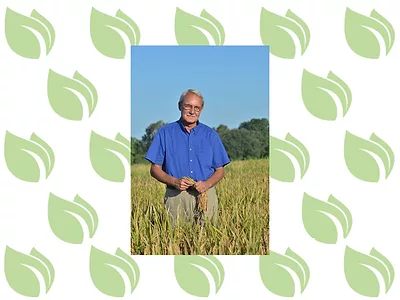Steve-Linscombe-Opinion.jpg