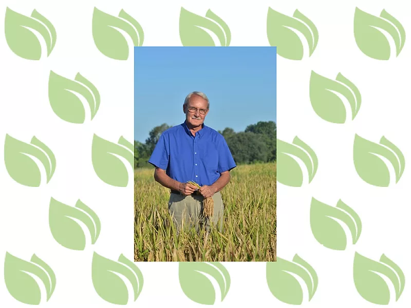 Steve-Linscombe-Opinion.jpg