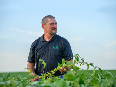 Tim Bardole in a soybean field