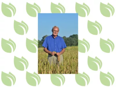 Steve linscombe opinion