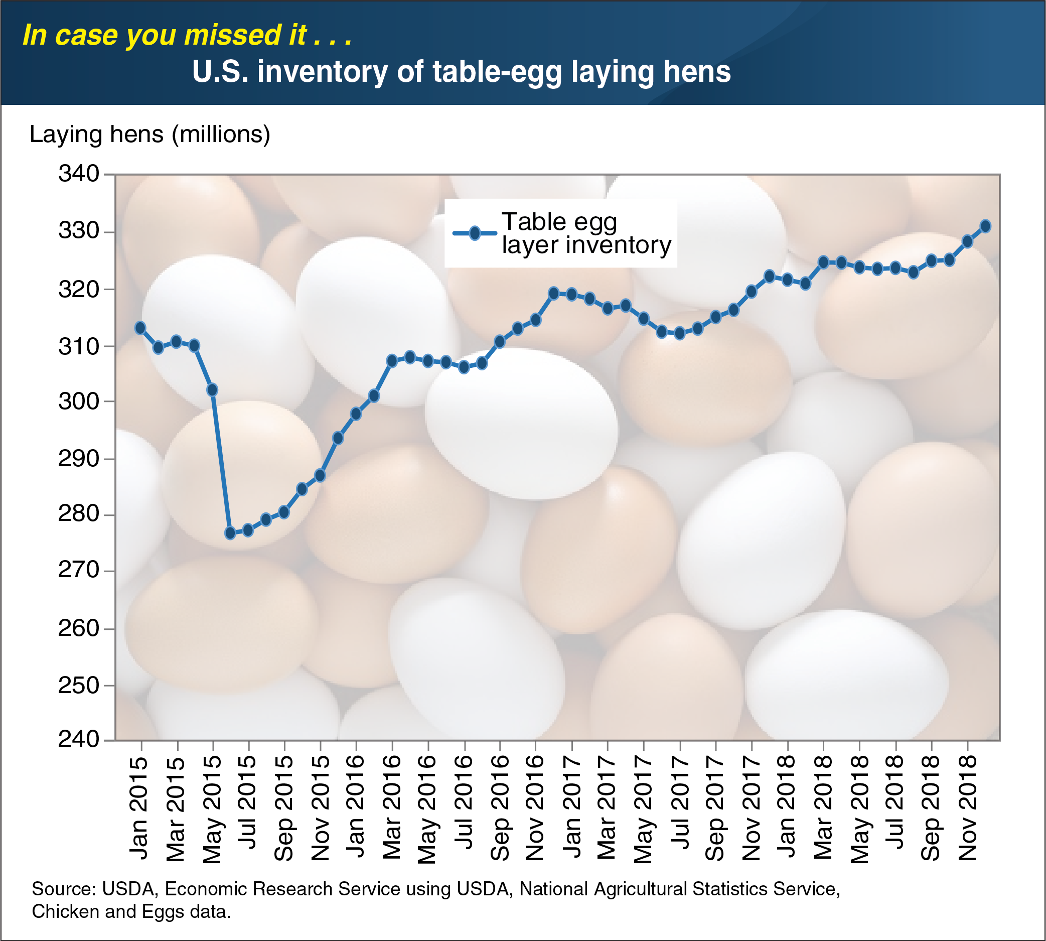 Egg laying hen chart