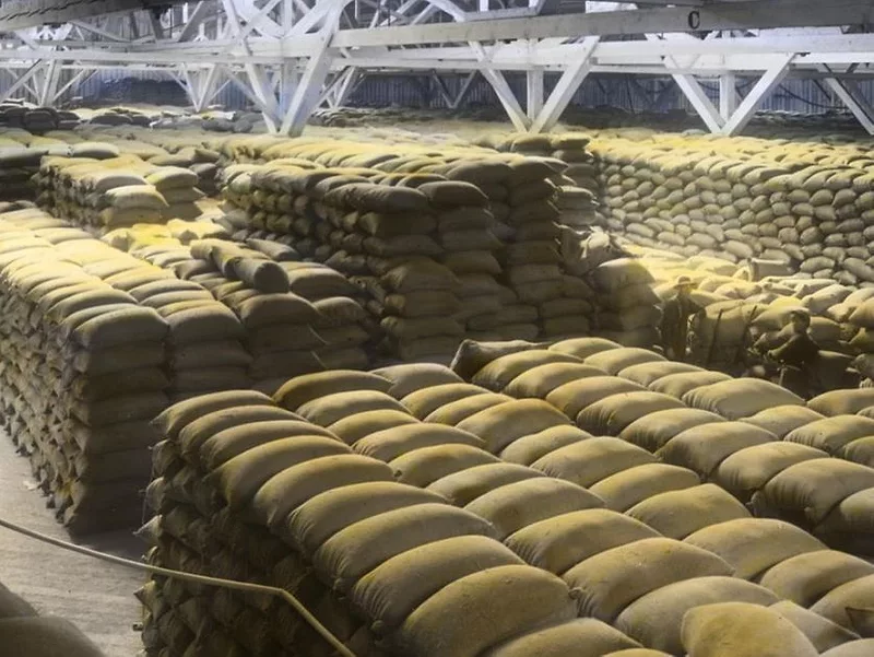 wheat exports